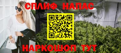 ПСИЛОЦИБИНОВЫЕ ГРИБЫ Бийск