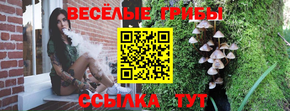 купить наркоту  Вход с VPN  Джанкой  Галлюциногенные грибы MAGIC MUSHROOMS 